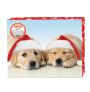 Puppies in Satna Hats ASPCA Christmas Boxed Cards