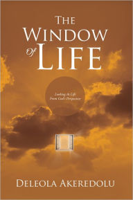 Title: The Window Of Life: Looking At Life From God's Perspective, Author: Deleola Akeredolu