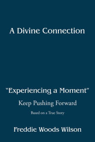 Title: A Divine Connection: Experiencing a Moment: Keep Pushing Forward, Author: Freddie Woods Wilson