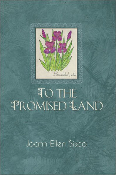 TO THE PROMISED LAND: 7