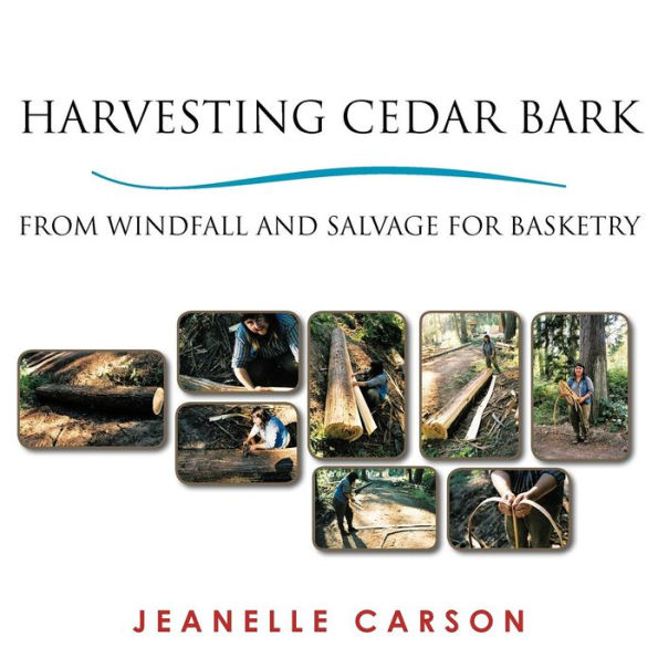 Harvesting Cedar Bark: From Windfall and Salvage for Basketry