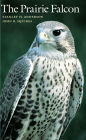 The Prairie Falcon