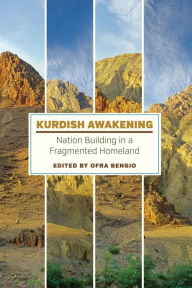 Free electronic data book download Kurdish Awakening: Nation Building in a Fragmented Homeland (English literature) 9781477309896 by Ofra Bengio PDB