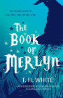 The Book of Merlyn: The Conclusion to The Once and Future King
