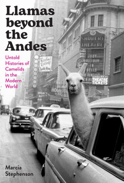 Llamas beyond the Andes: Untold Histories of Camelids Modern World