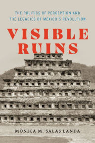 Title: Visible Ruins: The Politics of Perception and the Legacies of Mexico's Revolution, Author: Mónica M. Salas Landa