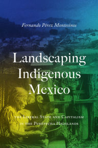 Ipad mini downloading books Landscaping Indigenous Mexico: The Liberal State and Capitalism in the Purépecha Highlands 9781477330999 RTF
