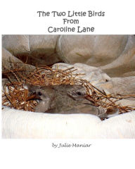 Title: The Two Little Birds From Caroline Lane, Author: Julie Maniar
