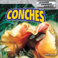 Title: Conches, Author: Bethany Baxter