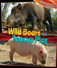 Title: Wild Boars and Teacup Pigs, Author: Henry Thatcher