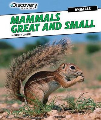 Mammals Great and Small