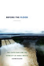 Before the Flood: The Itaipu Dam and the Visibility of Rural Brazil