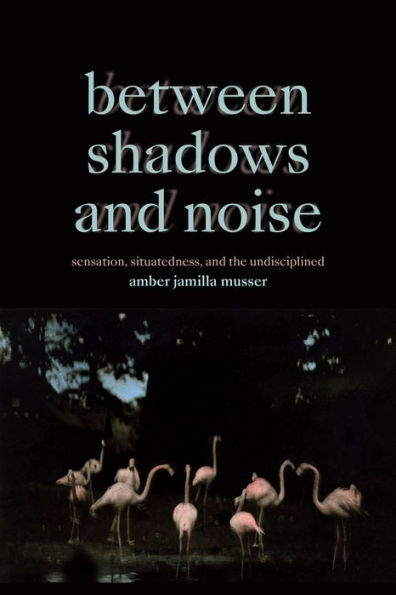 Between Shadows and Noise: Sensation, Situatedness, the Undisciplined