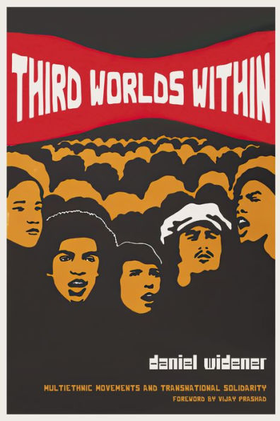 Third Worlds Within: Multiethnic Movements and Transnational Solidarity