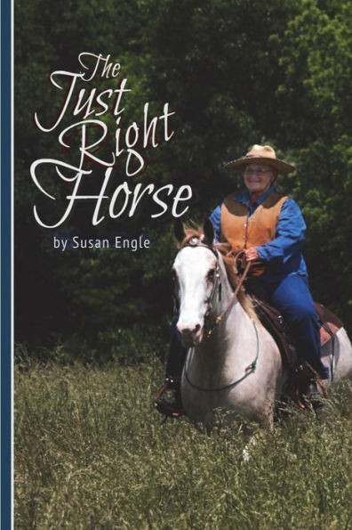 The Just Right Horse: JR is Just Right for his Owners