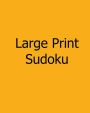 Large Print Sudoku: Easy to Moderate: Enjoyable, Large Grid Puzzles