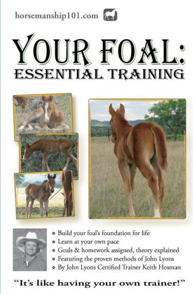 Your Foal: Essential Training