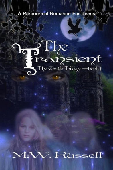 The Transient - Book One The Castle Trilogy: Book One The Castle Trilogy