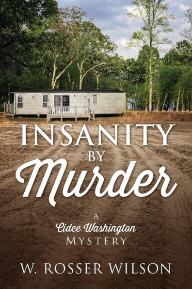 Insanity By Murder: A Cidee Washington Mystery