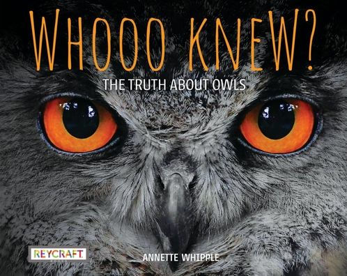 Whooo Knew? The Truth About Owls