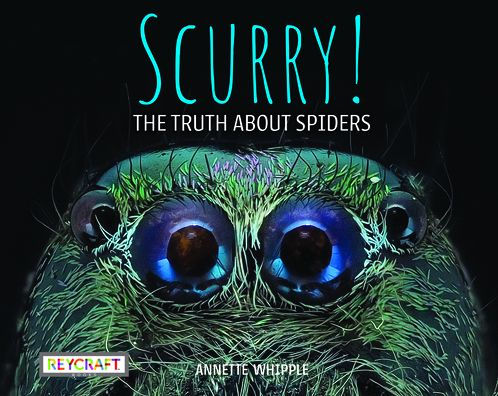 Scurry! the Truth about Spiders