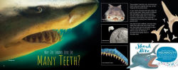 Alternative view 4 of Chomp! the Truth about Sharks