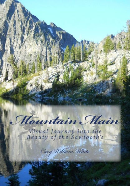 Mountain Main: Visual Journey into the Beauty of the Sawtooth's