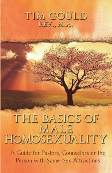 the Basics of Male Homosexuality (A Guide for Pastors, Counselors or Person with Same-Sex Attractions)
