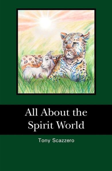 All About the Spirit World