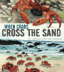 When Crabs Cross the Sand: The Christmas Island Crab Migration