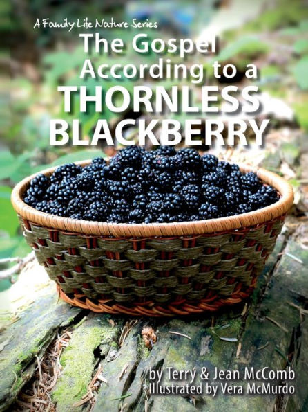 The Gospel According to a Blackberry