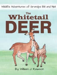 Title: The Whitetail Deer, Author: William J Rawson