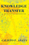 Alternative view 2 of Knowledge Transfer: A Practical Approach