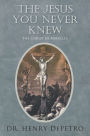 The Jesus You Never Knew: The Christ of Miracles