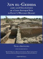 'Ain el-Gedida: 2006-2008 Excavations of a Late Antique Site in Egypt's Western Desert (Amheida IV)