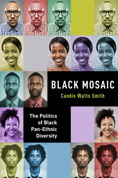 Black Mosaic: The Politics of Pan-Ethnic Diversity