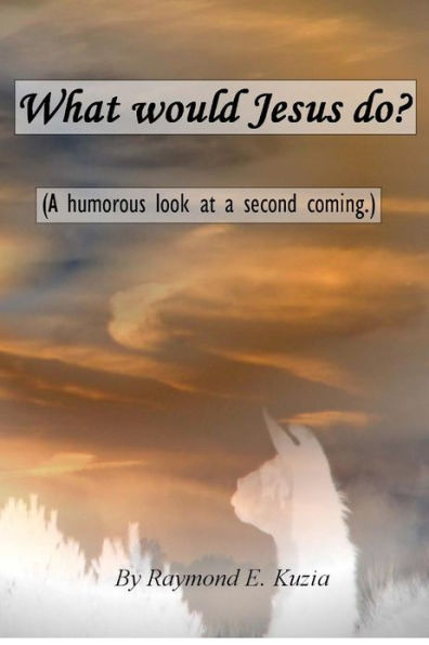 What would Jesus do?