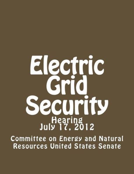 Electric Grid Security