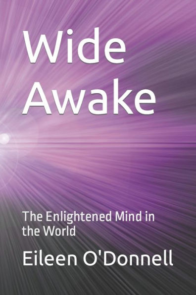 Wide Awake: The Enlightened Mind in the World