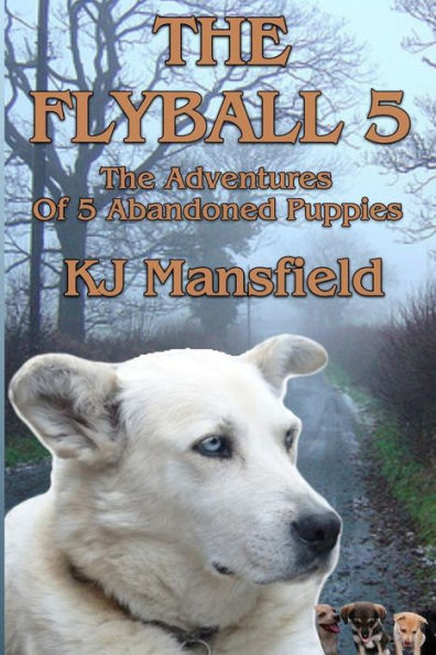 The Flyball 5: The adventures of 5 abandoned puppies
