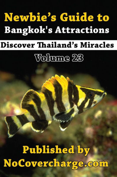 Newbie's Guide to Bangkok's Attractions: Discover Thailand's Miracles Volume 23