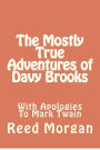 The Mostly True Adventures of Davy Brooks