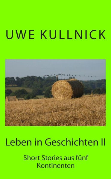 Leben in Geschichten 2: Short Stories aus fÃ¯Â¿Â½nf Kontinenten