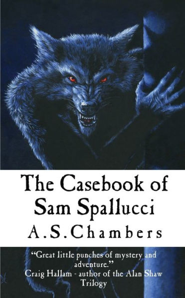 The Casebook Of Sam Spallucci