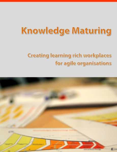 Knowledge Maturing: Creating learning rich workplaces for agile organizations