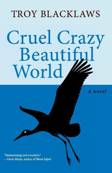 Cruel Crazy Beautiful World: A Novel