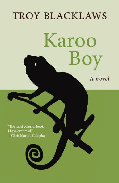 Karoo Boy: A Novel