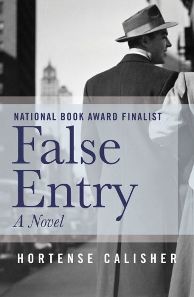 False Entry: A Novel