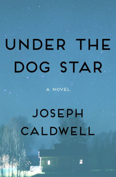 Under the Dog Star: A Novel