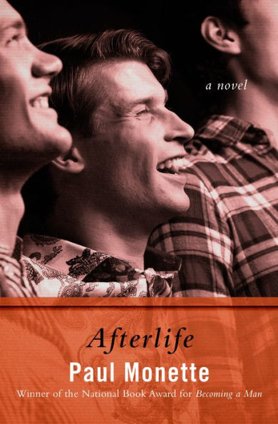 Afterlife: A Novel